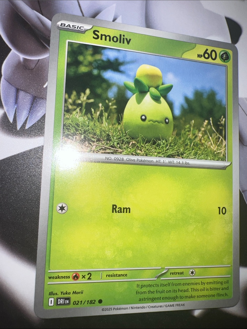 Pokemon Smoliv Trading Card - Green, Yellow